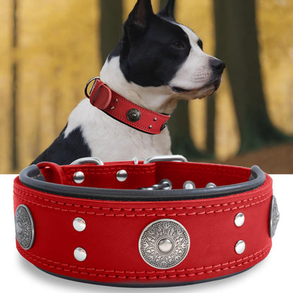 Leather Dog Collar, 2 Inches Wide Heavy Duty Genuine Leather Collars, Handmade, Soft, and Luxury, Eye-Catching Best Choice for Large and Medium Breed Dogs, Orange 18.5-22.5 In
