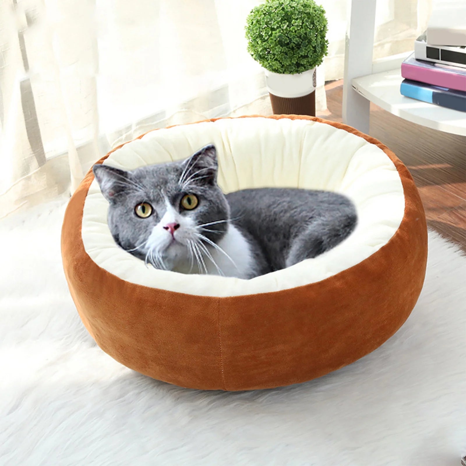 Dog Bed for Small Dogs, round Small Dog Bed,Cat Beds for Indoor Cats, Orthopedic Dog Bed, Washable Dog Bed for Puppy and Pet with Non-Slip Botttom, Comfort&Calming S (16") Brown
