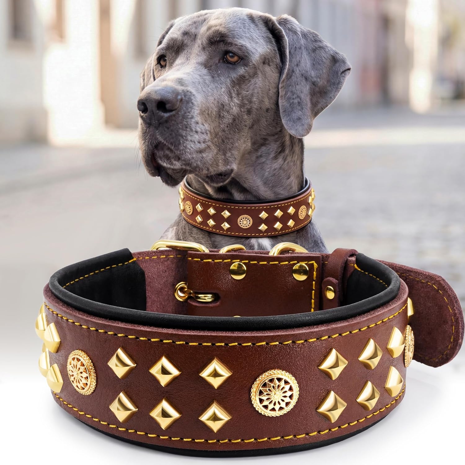 Eliteguard Genuine Leather Dog Collar, 2.2-Inch Handmade Studded with Stainless Steel Buckle, Daily Wear for Large Dogs, Brown 14-18.5 In