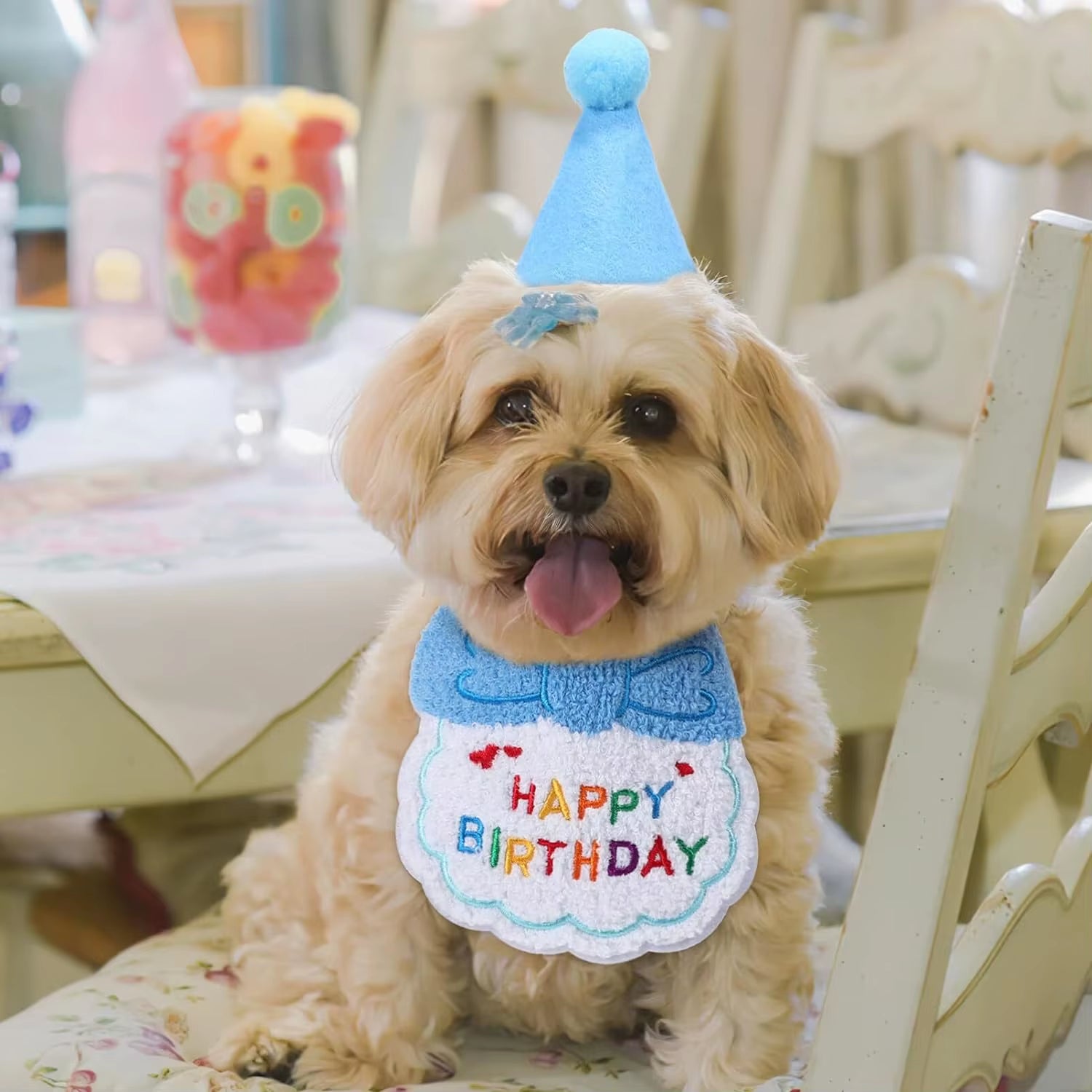 2Pcs Cat Dog Birthday Bandana Scarf and Party Hat Pet Birthday Bib and Hat Cat Birthday Outfit Pet Birthday Decorations Set