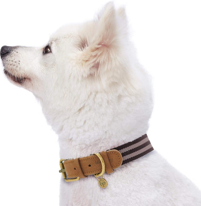 Soft & Comfy Leather Dog Collar - Adjustable Dog Collars for Small Dogs, Genuine Leather Collar for Dogs, Classic Striped Leather Dog Collars, Small, Neck 12"-15"