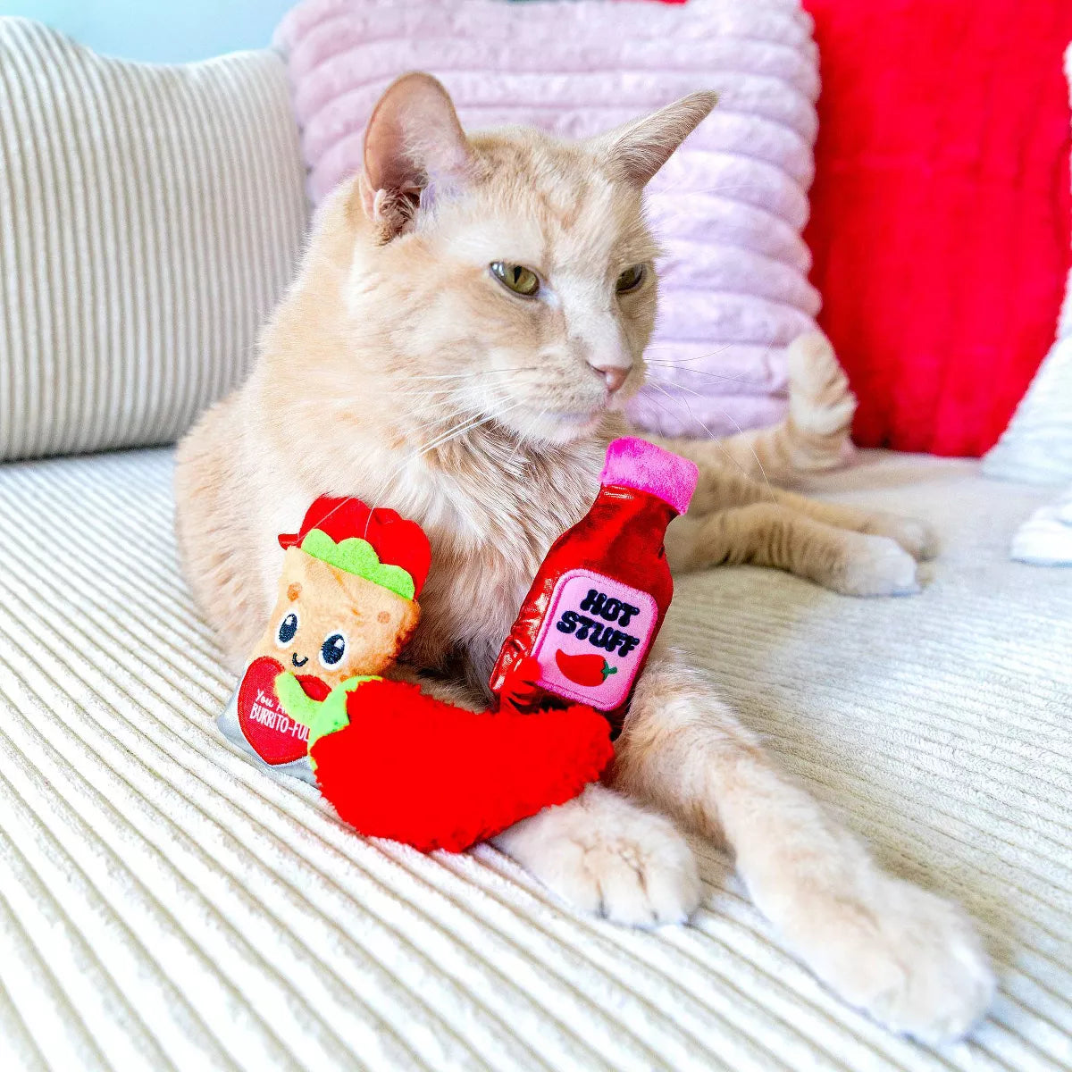 Quirky Kitty You Are Burrito-Ful Plush Cat Toy