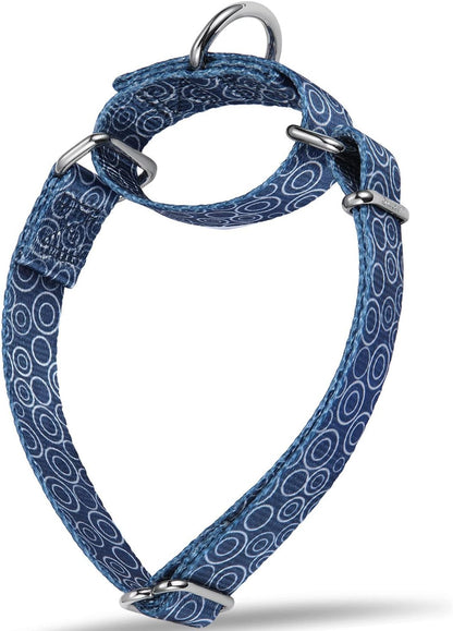 Martingale Dog Collar No Pull Pet Collar Heavy Duty Dog Martingale Collars Silky with Unique Geometric Pattern for Medium and Large Dogs (Large, Turquoise)