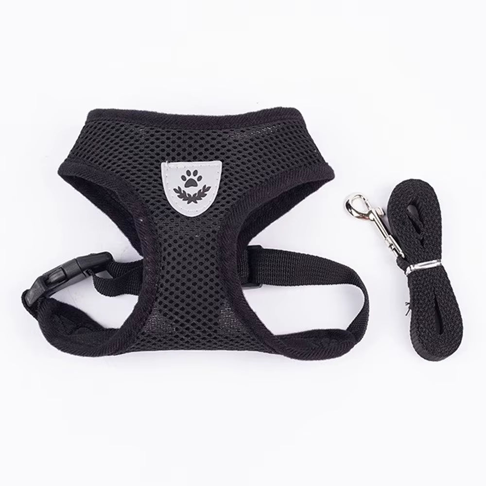 Adjustable Mesh Cute Small Cat Leash Breathable Summer Vest Cat Harness Leash Set Reflective for Small Dog Harness Leash