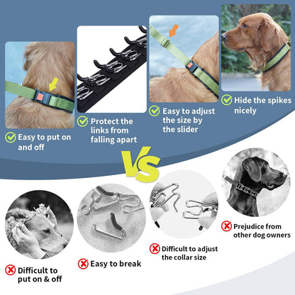 No Pull Dog Collar, Patented Martingale Collar for Small Medium Large Dogs with Buckle and Heavy Duty Nylon for Walking Training Hunting, Safe and Easy to Use(M, Green)