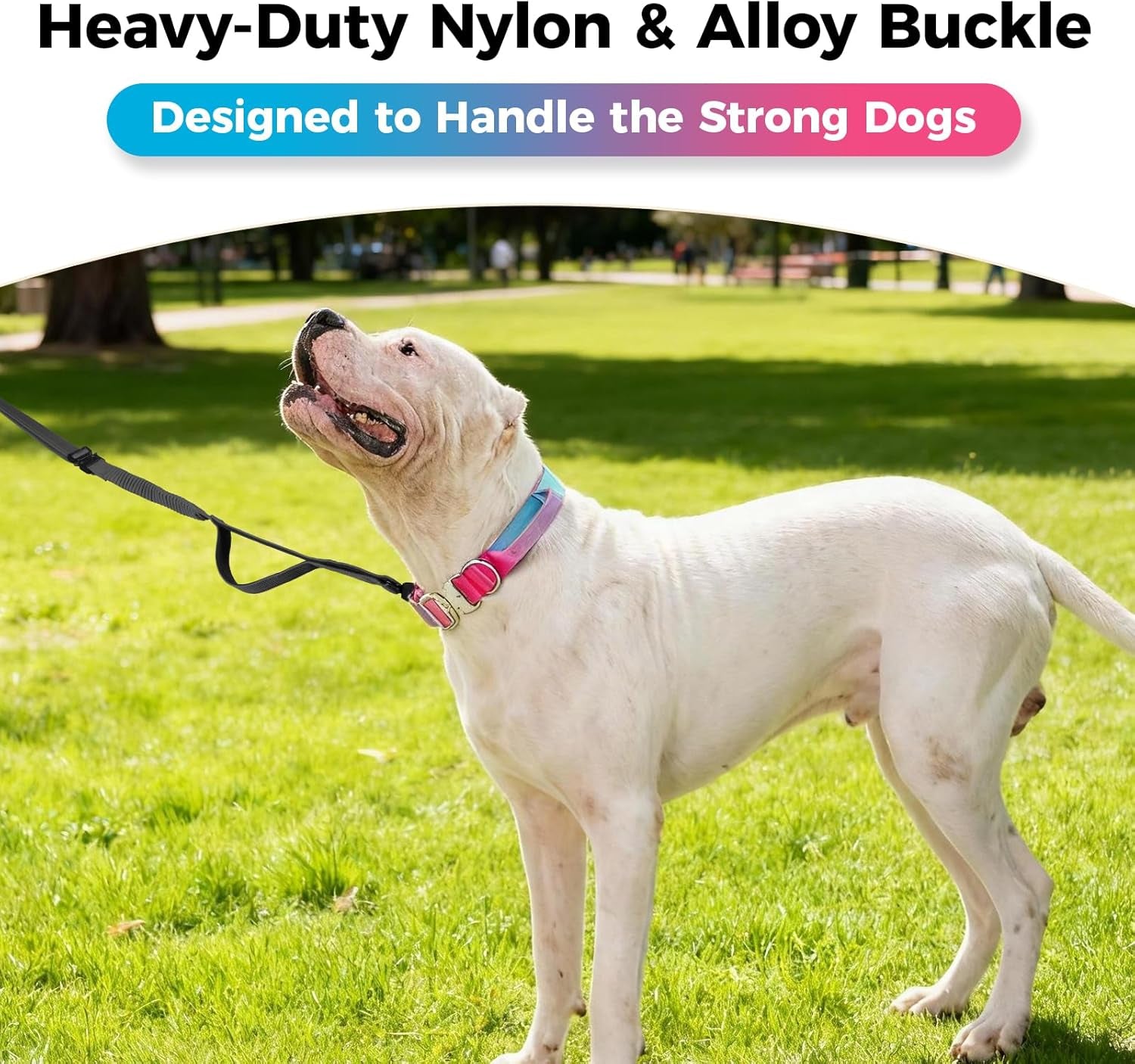 Tactical Dog Collar, Adjustable Heavy Duty Dog Collar with Handle Soft Neoprene Padded Training Collar with Quick Release Metal Buckle for Large Dogs (Gradient Pink, L)