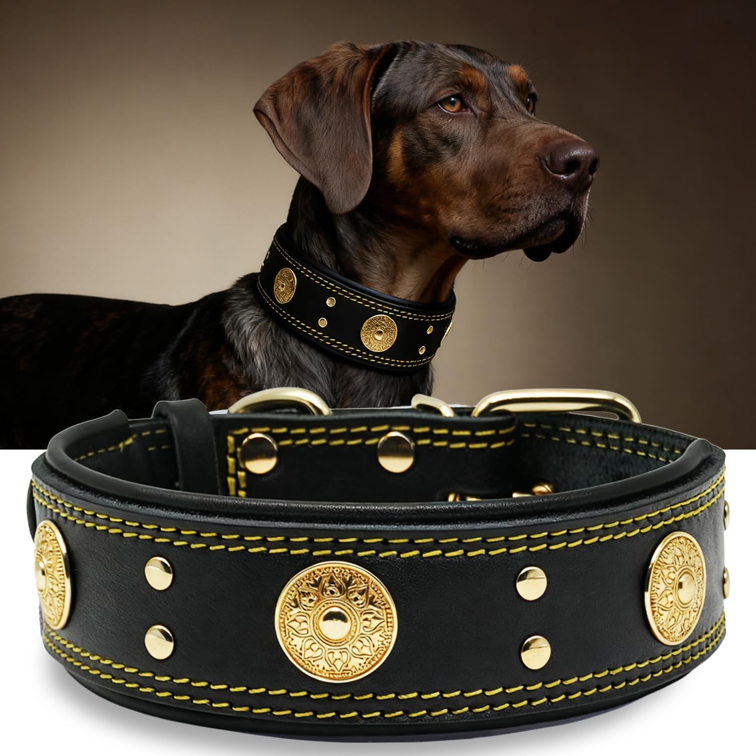 Leather Dog Collar, 2 Inches Wide Heavy Duty Genuine Leather Collars, Handmade, Soft, and Luxury, Eye-Catching Best Choice for Large and Medium Breed Dogs, Orange 18.5-22.5 In