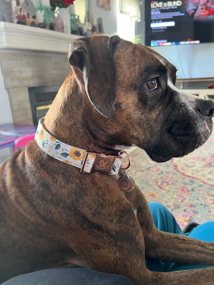 Dog Collar, Sunflower Pattern Pet Collar Durable Cute Dog Collars Summer Fall Female Pet Gift Adjustable Dog Collar for Medium Dogs