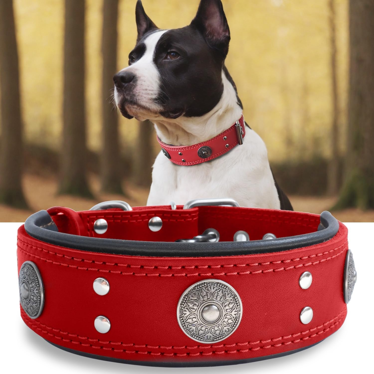 Leather Dog Collar, 2 Inches Wide Heavy Duty Genuine Leather Collars, Handmade, Soft, and Luxury, Eye-Catching Best Choice for Large and Medium Breed Dogs, Orange 18.5-22.5 In