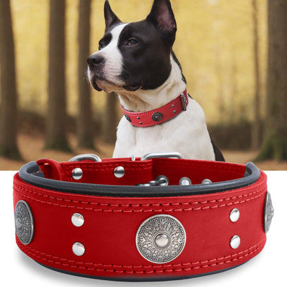 Leather Dog Collar, 2 Inches Wide Heavy Duty Genuine Leather Collars, Handmade, Soft, and Luxury, Eye-Catching Best Choice for Large and Medium Breed Dogs, Orange 18.5-22.5 In