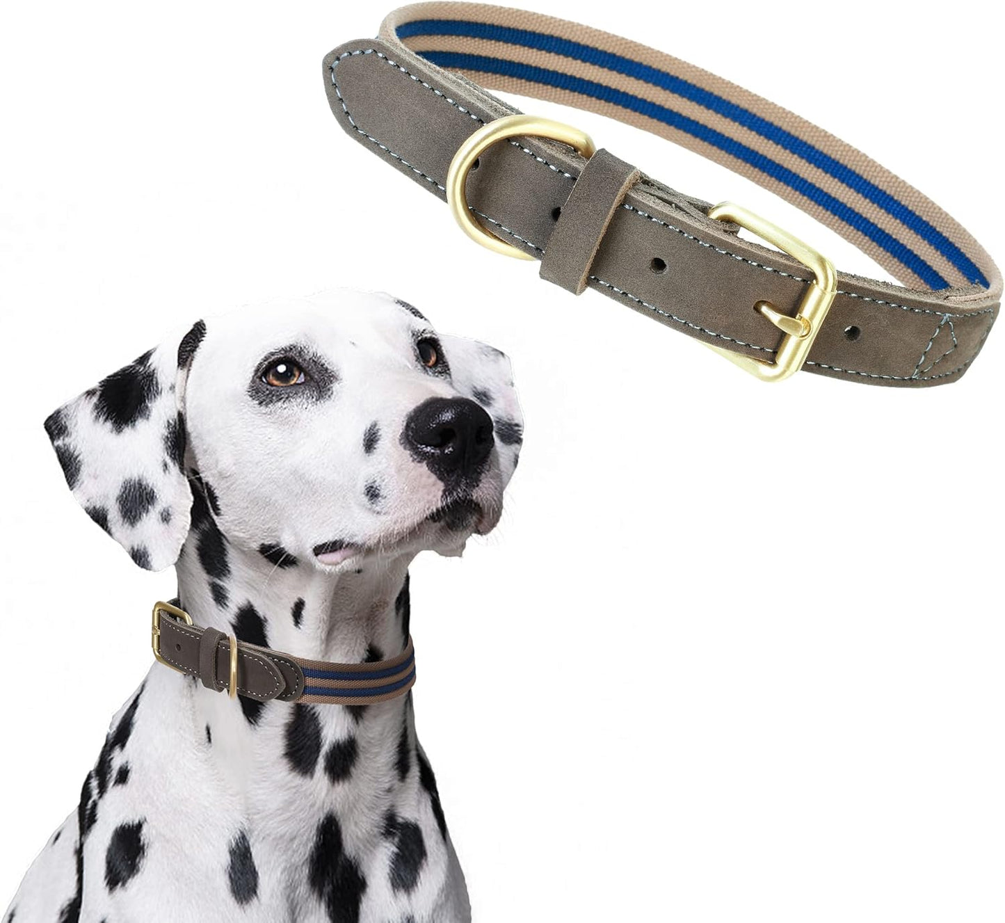 | Genuine Leather Dog Collar | Heavy Duty Canvas Dog Collars with Adjustable Rust-Proof Metal Pin Buckle | Boy Dog Collars for Medium Dogs(Pin Buckle-Turquoise Green)