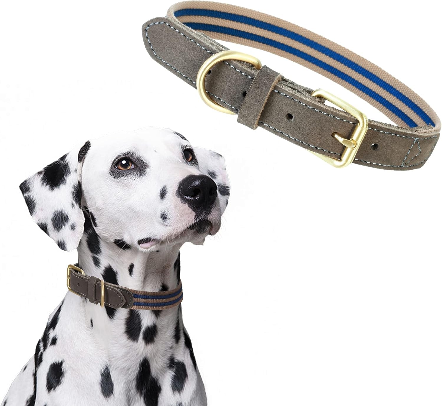 | Genuine Leather Dog Collar | Heavy Duty Canvas Dog Collars with Adjustable Rust-Proof Metal Pin Buckle | Boy Dog Collars for Medium Dogs(Pin Buckle-Turquoise Green)