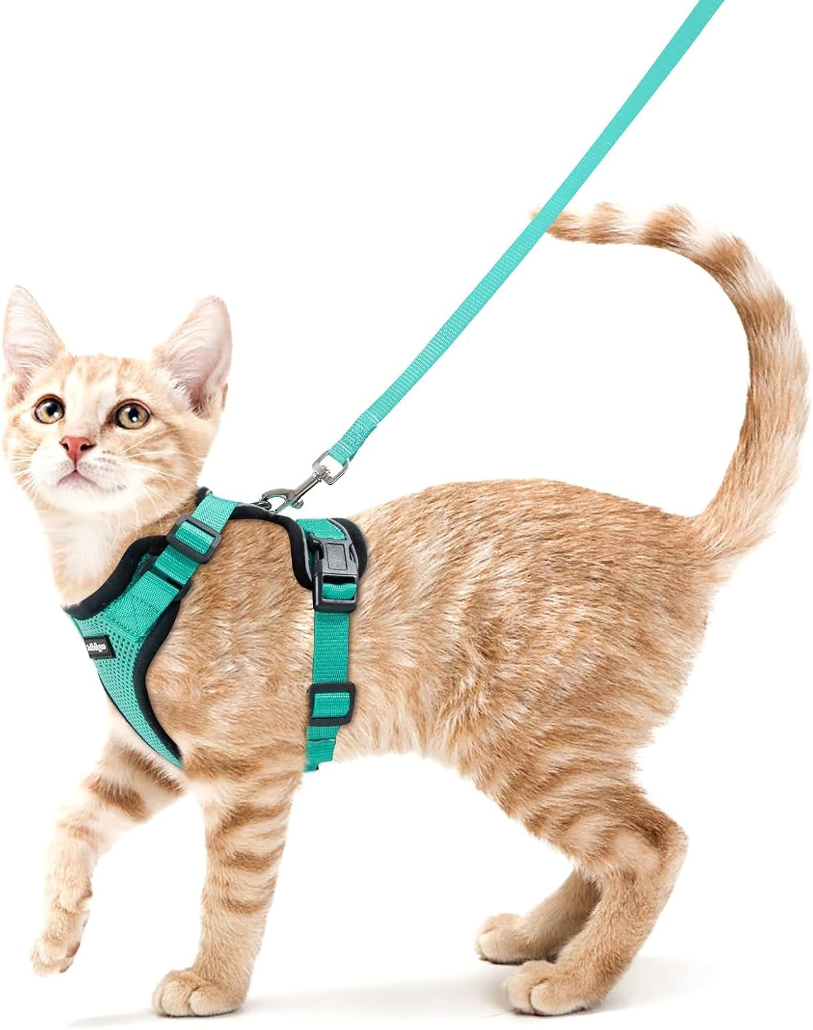 Cat Harness and Leash for Walking, Escape Proof Soft Adjustable Vest Harnesses for Cats, Easy Control Breathable Reflective Strips Jacket, Black, XS
