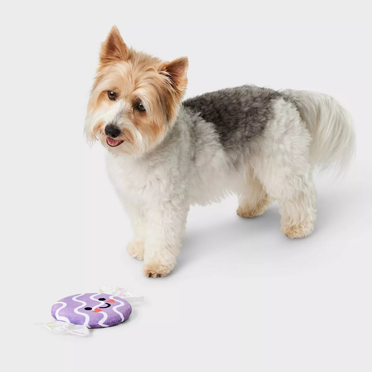 Candy Plush Dog Toy - Boots & Barkley™ Purple