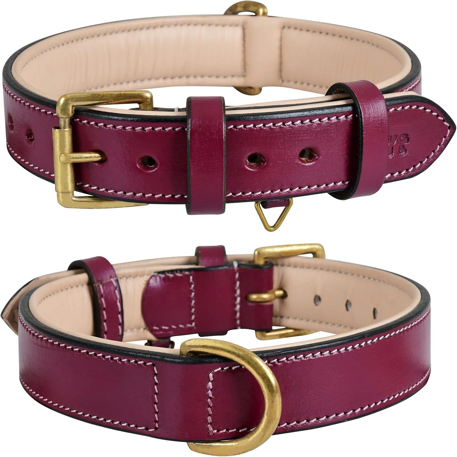 Genuine Leather Dog Collar | Full Grain, Heavy Duty, Comfortable, Padded, Strong | Best for Pups, Small, Medium, Large & XL Breeds (Medium (Fit Neck Size 14.5"-18.5"), Teal Green)