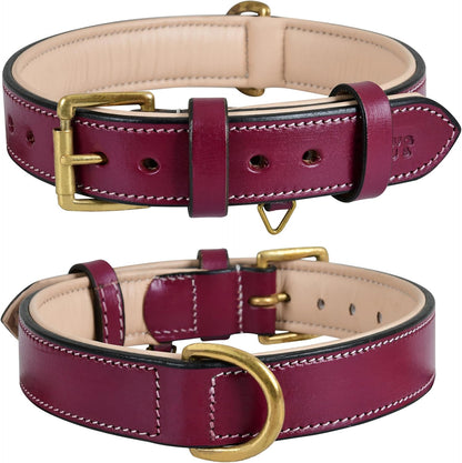 Genuine Leather Dog Collar | Full Grain, Heavy Duty, Comfortable, Padded, Strong | Best for Pups, Small, Medium, Large & XL Breeds (Medium (Fit Neck Size 14.5"-18.5"), Teal Green)