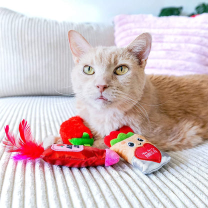 Quirky Kitty You Are Burrito-Ful Plush Cat Toy