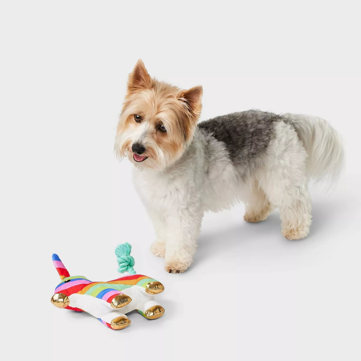 Pinata Dog Plush Toy - Boots & Barkley™