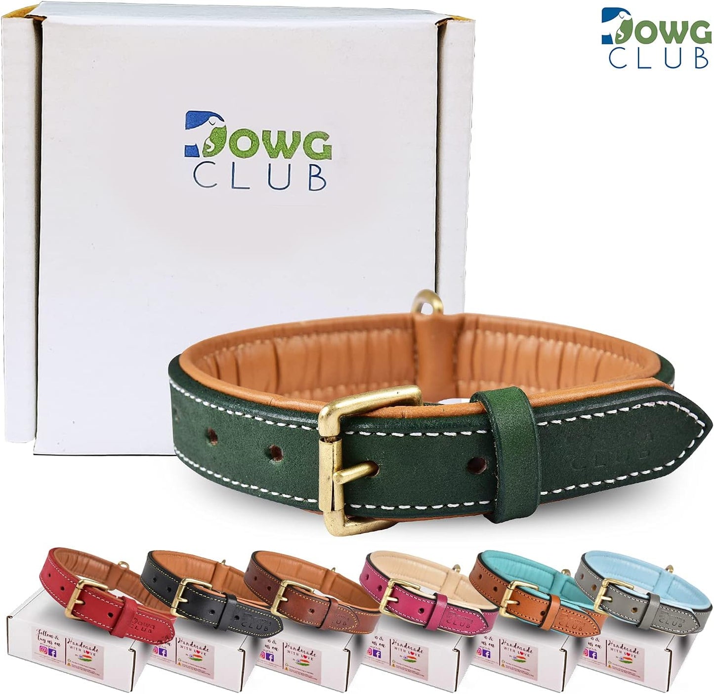 Genuine Leather Dog Collar | Full Grain, Heavy Duty, Comfortable, Padded, Strong | Best for Pups, Small, Medium, Large & XL Breeds (Medium (Fit Neck Size 14.5"-18.5"), Teal Green)