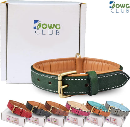 Genuine Leather Dog Collar | Full Grain, Heavy Duty, Comfortable, Padded, Strong | Best for Pups, Small, Medium, Large & XL Breeds (Medium (Fit Neck Size 14.5"-18.5"), Teal Green)
