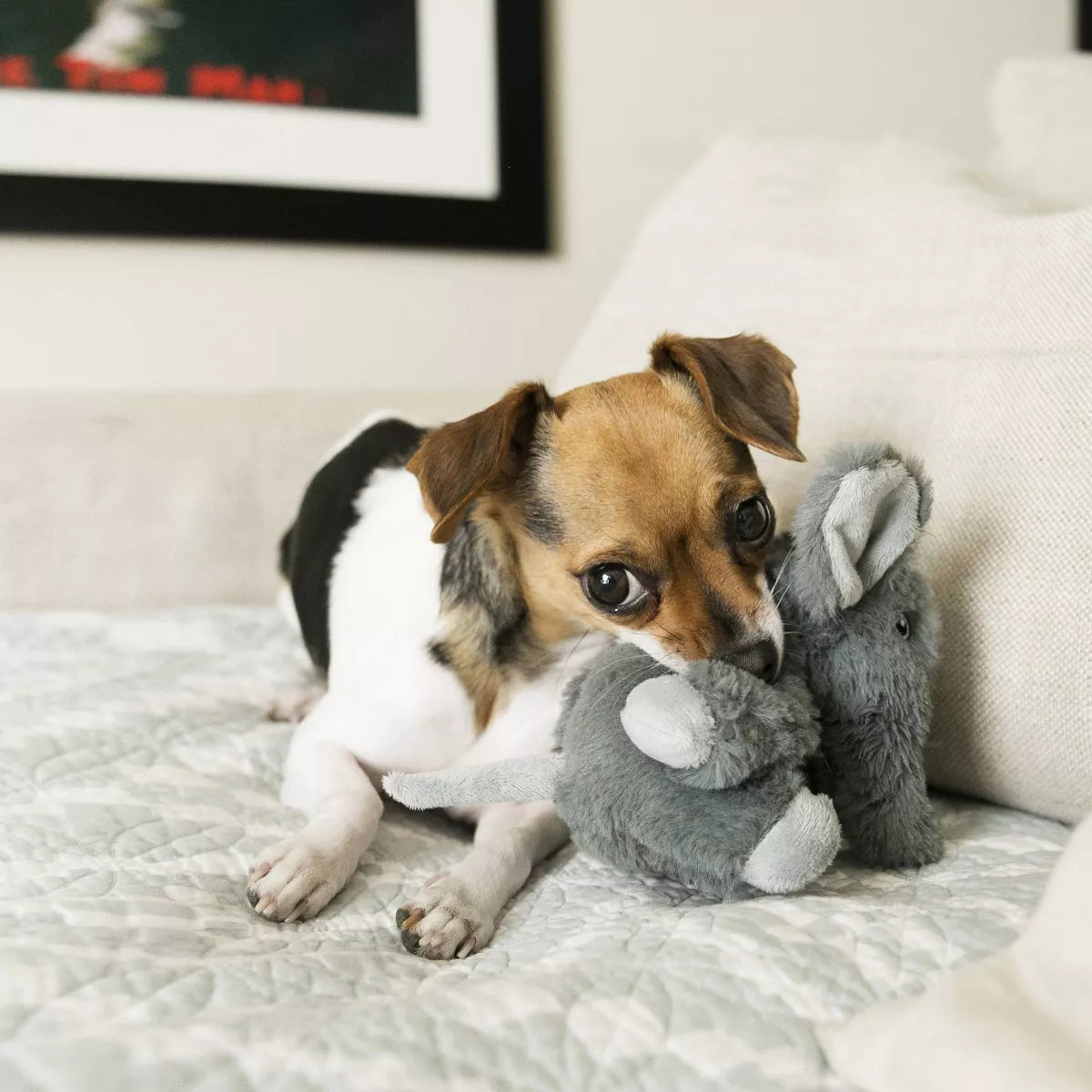 KONG Kiddos Comfort Elephant Dog Toy - Gray - XS