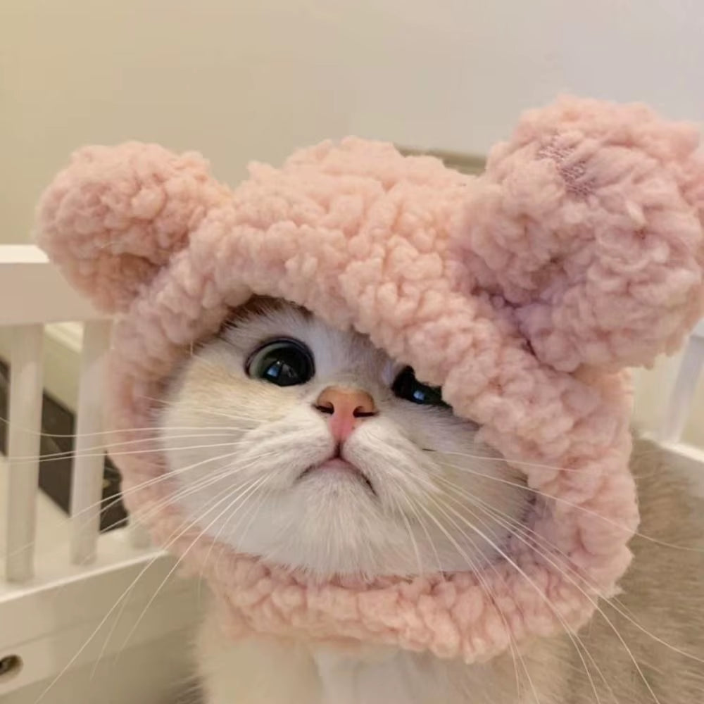 Funny Cat Cap Bear Plush Head Cover Cute Cat Dog Woven Warm Headdress Pet Hat Kitten Puppy Cosplay Costume Accessories