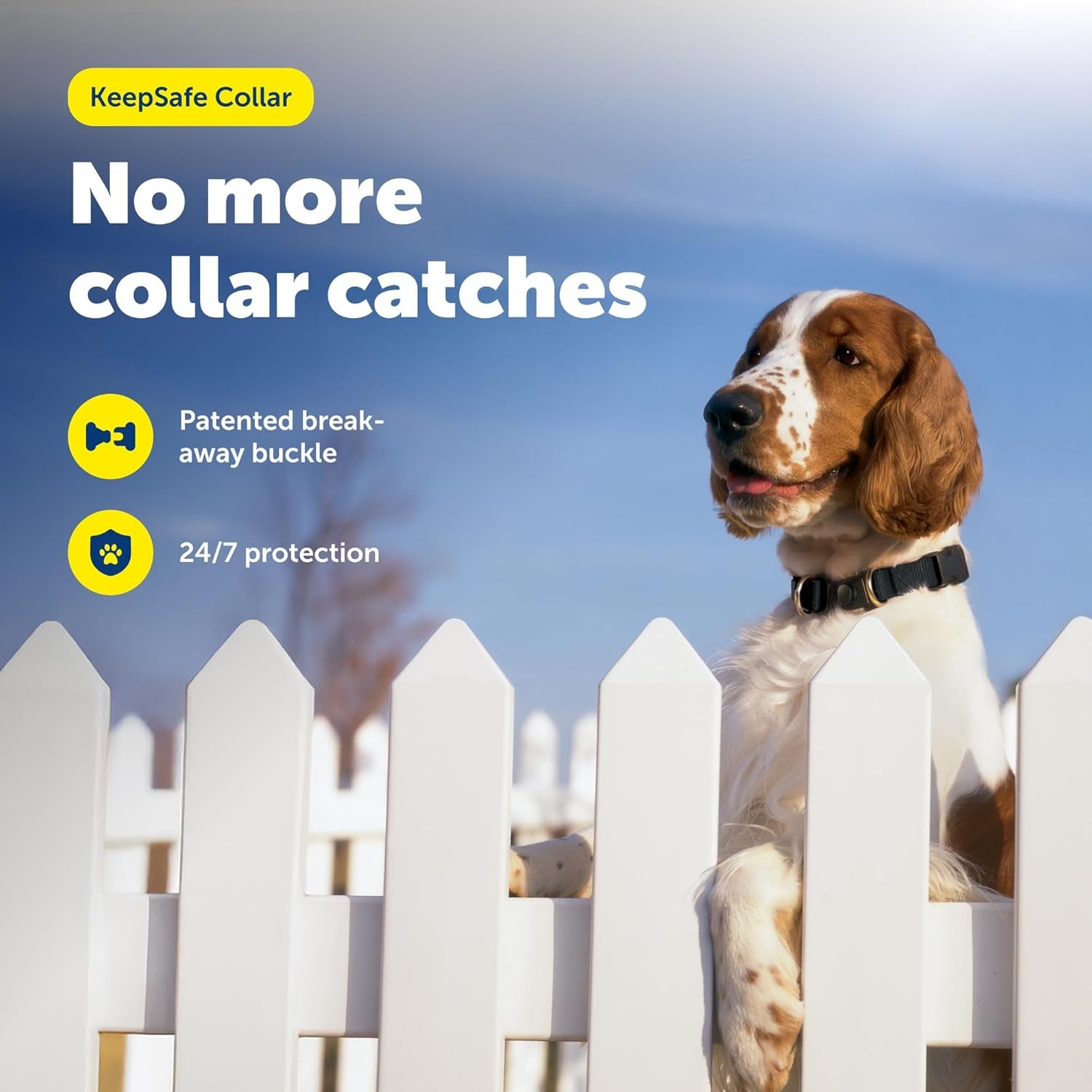 Keepsafe Collar for Dogs - Protects against Collar Accidents - Long Lasting - Durable - Adjustable - Breakaway - Outdoor-Safe - Large - 1 In. Wide - Black