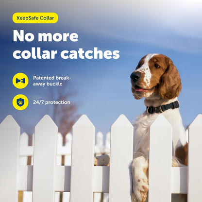 Keepsafe Collar for Dogs - Protects against Collar Accidents - Long Lasting - Durable - Adjustable - Breakaway - Outdoor-Safe - Large - 1 In. Wide - Black