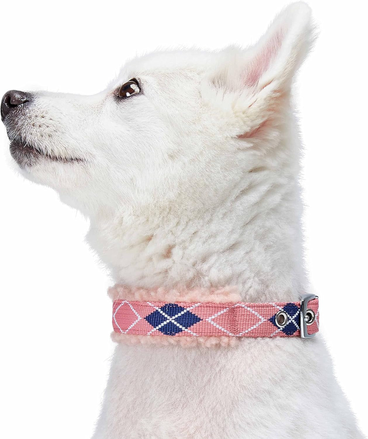 Soft & Comfy Scottish Argyle Padded Dog Collar - Pink, 13-16.5" Neck for Medium Pets, Adjustable Dog Collars for Small Dogs, Puppy Collar, Small Dog Collar, Sherpa Fleece, Metal Buckle