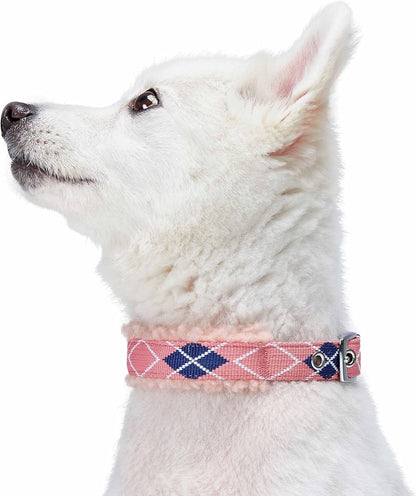 Soft & Comfy Scottish Argyle Padded Dog Collar - Pink, 13-16.5" Neck for Medium Pets, Adjustable Dog Collars for Small Dogs, Puppy Collar, Small Dog Collar, Sherpa Fleece, Metal Buckle