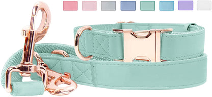 Soft Leather Dog Collar and Leash (6.6') Set - Stylish Rose Gold Heavy Duty Metal Buckle, 4 Adjustable Lengths Leash for Small Medium Large Dogs - Comfortable & Easy to Clean Pink M(13.8"-19.7")