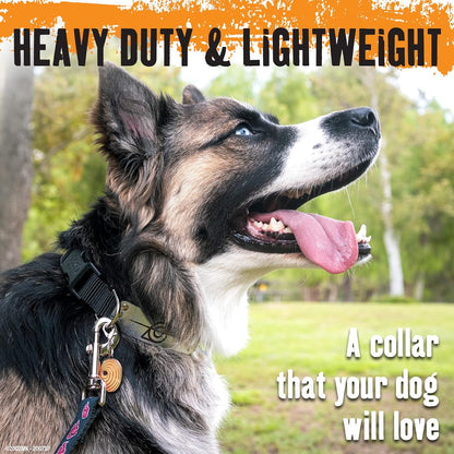 Naruto Dog Collar for Large Dogs, Medium, Xs/Small Puppy Collars – Officially Licensed Naruto Shippuden Hidden Leaf Village Anime Dog Collar, Naruto Gifts Pet Collar for Dogs Navy Rogue, MED