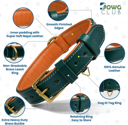 Genuine Leather Dog Collar | Full Grain, Heavy Duty, Comfortable, Padded, Strong | Best for Pups, Small, Medium, Large & XL Breeds (Medium (Fit Neck Size 14.5"-18.5"), Teal Green)