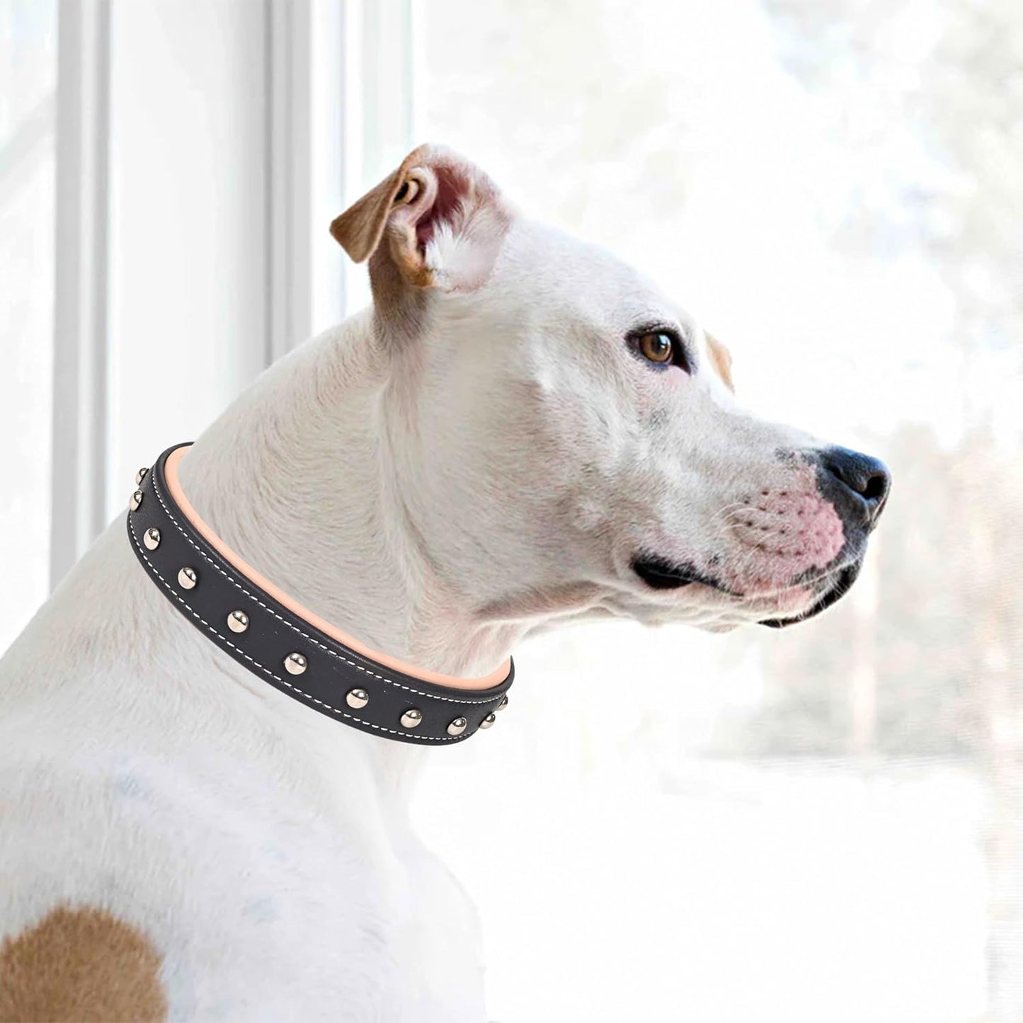 Genuine Leather Dog Collar, Heavy Duty Adjustable Durable Padded Neck Belt with Strong Metal Buckle & D-Ring for Walking, Training & Running - Dark Blue and Pink (Small: Fits 15–19" Necks)