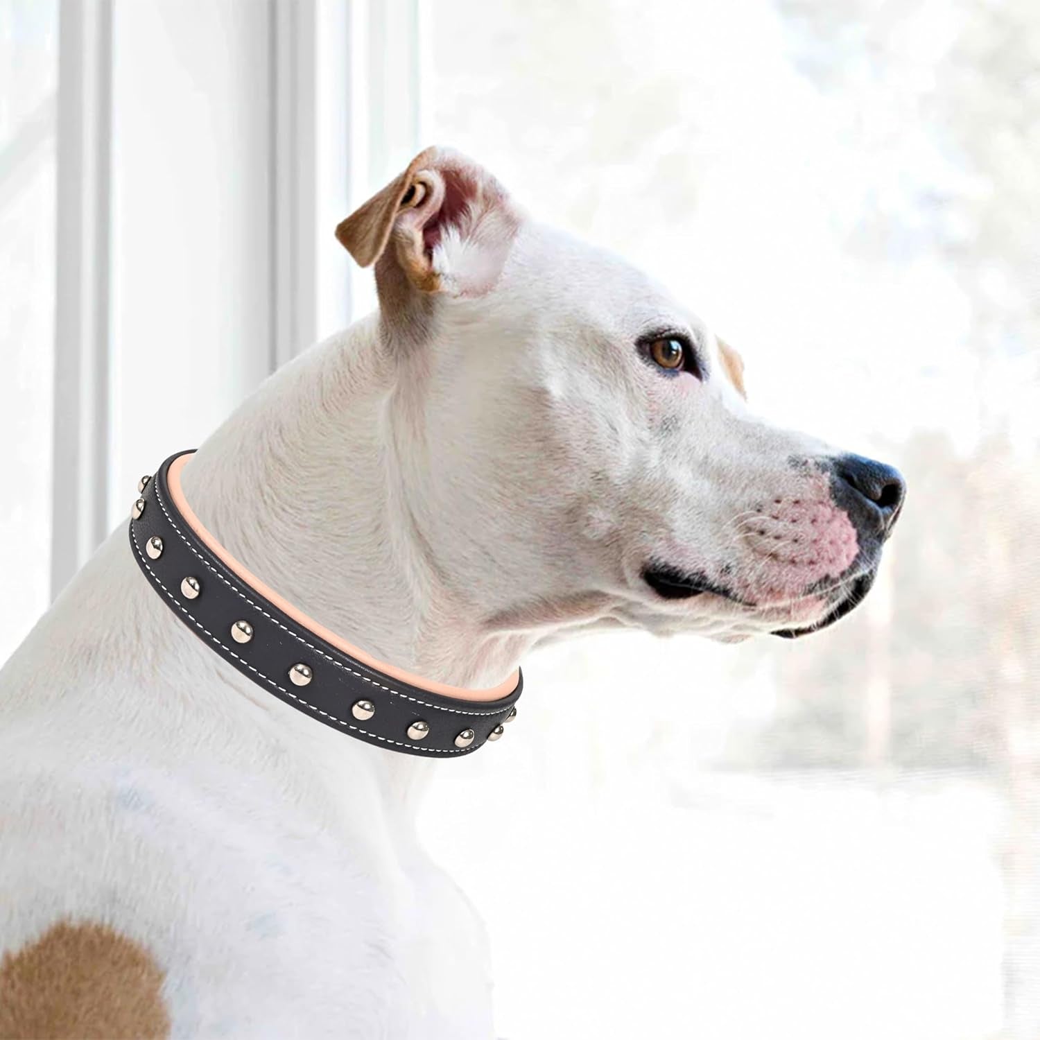 Genuine Leather Dog Collar, Heavy Duty Adjustable Durable Padded Neck Belt with Strong Metal Buckle & D-Ring for Walking, Training & Running - Dark Blue and Pink (Small: Fits 15–19" Necks)