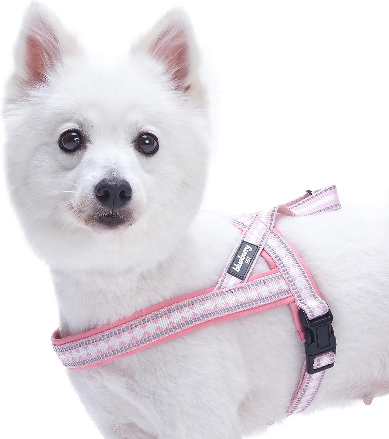 Reflective Jacquard Dog Collar with Neoprene Padding & Metal Buckle | Soft & Adjustable Safety Collar - Olive, Neck 13-16.5", for Medium Breed