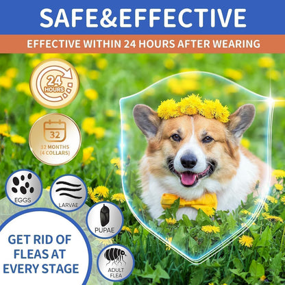 Ultimate Dog Flea and Tick Prevention Collar - 4 Pack, Waterproof & Adjustable for Dogs and Puppies, 32-Month Protection in Blue & Orange