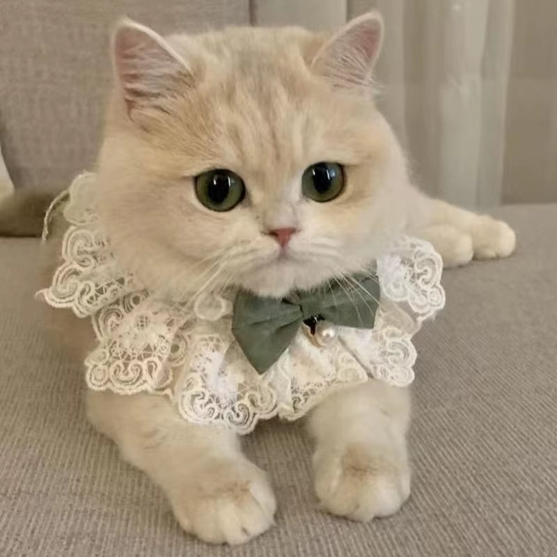Cute Cat Bow Collar Lace Floral Aesthetic Cats Bowtie Collar Bow Tie Pet Bib for Indoor Cats Kitten and Small Dogs Puppies