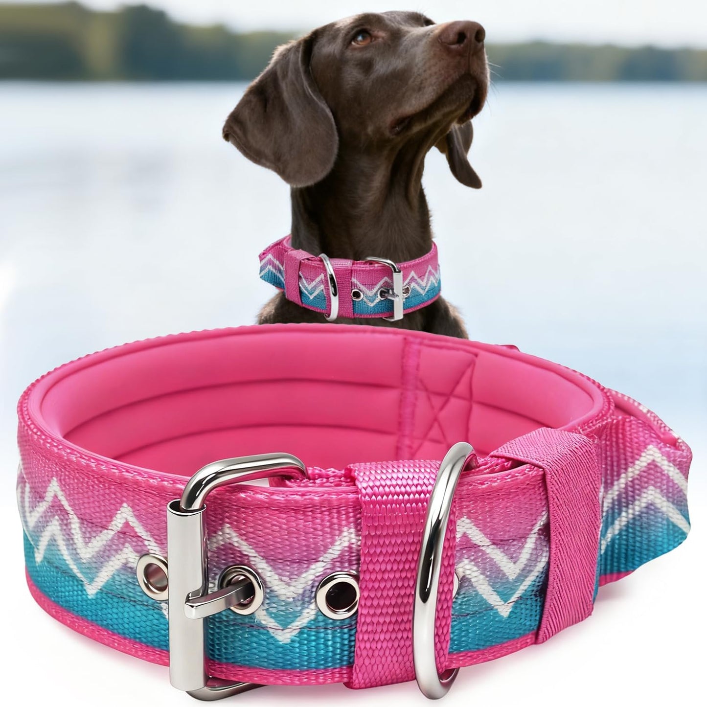 Neckshield Control Dog Collar for Large Dogs-2 Inches Wide with Pressure-Relief Padding, Professional Protection for Large & Giant Breeds, Jungle Night L