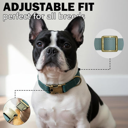Dog Collars for Medium Dogs Silicone Leather Dog Collars Soft Flexible Waterproof Odor-Proof Durable Thick Classic Adjustable Pet Puppy Collar (Green, Medium (12.5-20" Neck))