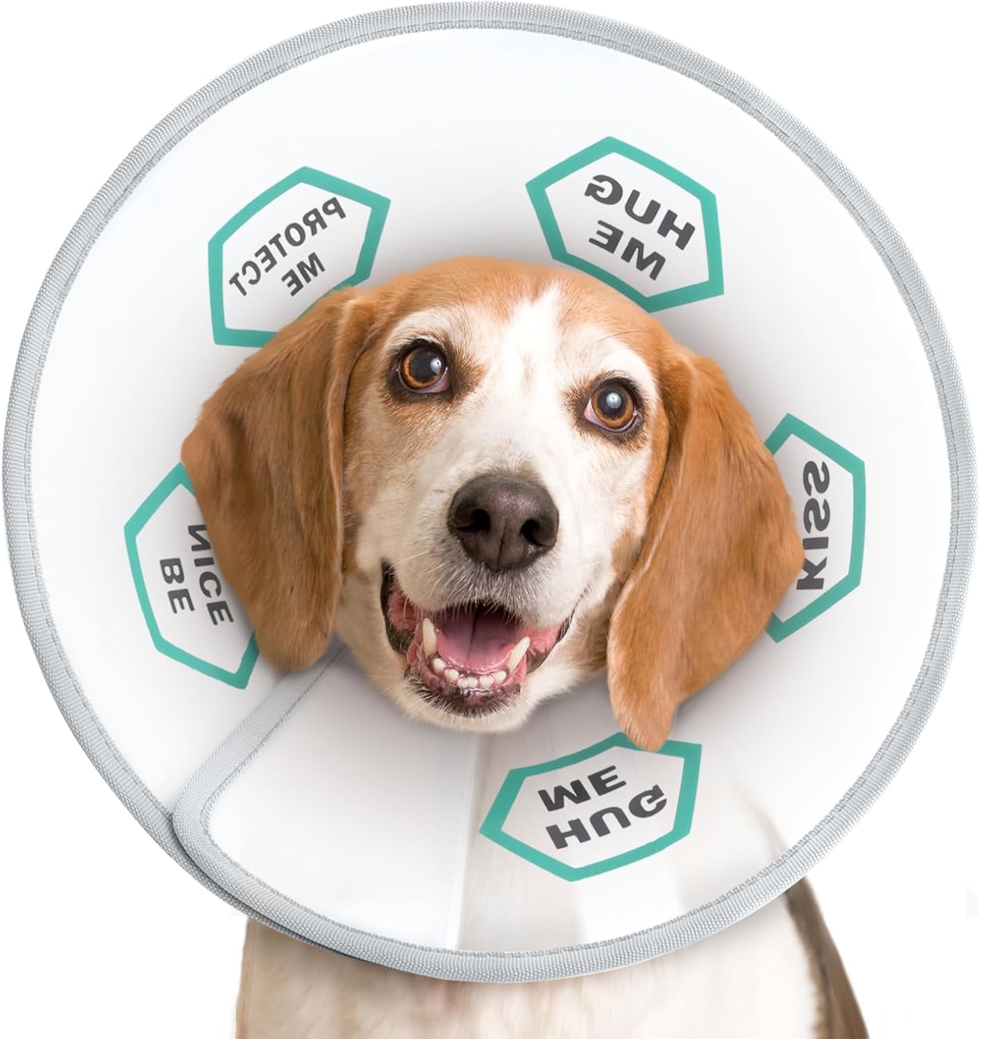 Dog Cone Collar Adjustable after Surgery, Comfortable Pet Recovery Collar & Cone for Large Medium Small Dogs, Elizabethan Dog Neck Collar Plastic Practical （L）
