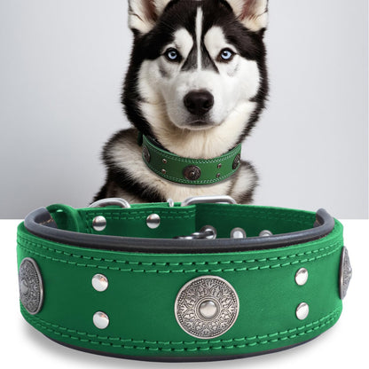 Leather Dog Collar, 2 Inches Wide Heavy Duty Genuine Leather Collars, Handmade, Soft, and Luxury, Eye-Catching Best Choice for Large and Medium Breed Dogs, Orange 18.5-22.5 In