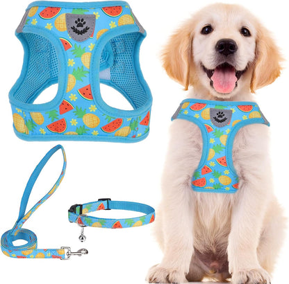 Adjustable Pet Harness Collar &Leash Set Step in for Small Dogs Puppy &Cats Outdoor Training &Running, Soft Mesh Padded Reflective Vest Harness,M: Chest Girth: 16-18In Collar: 11.8-15.7In