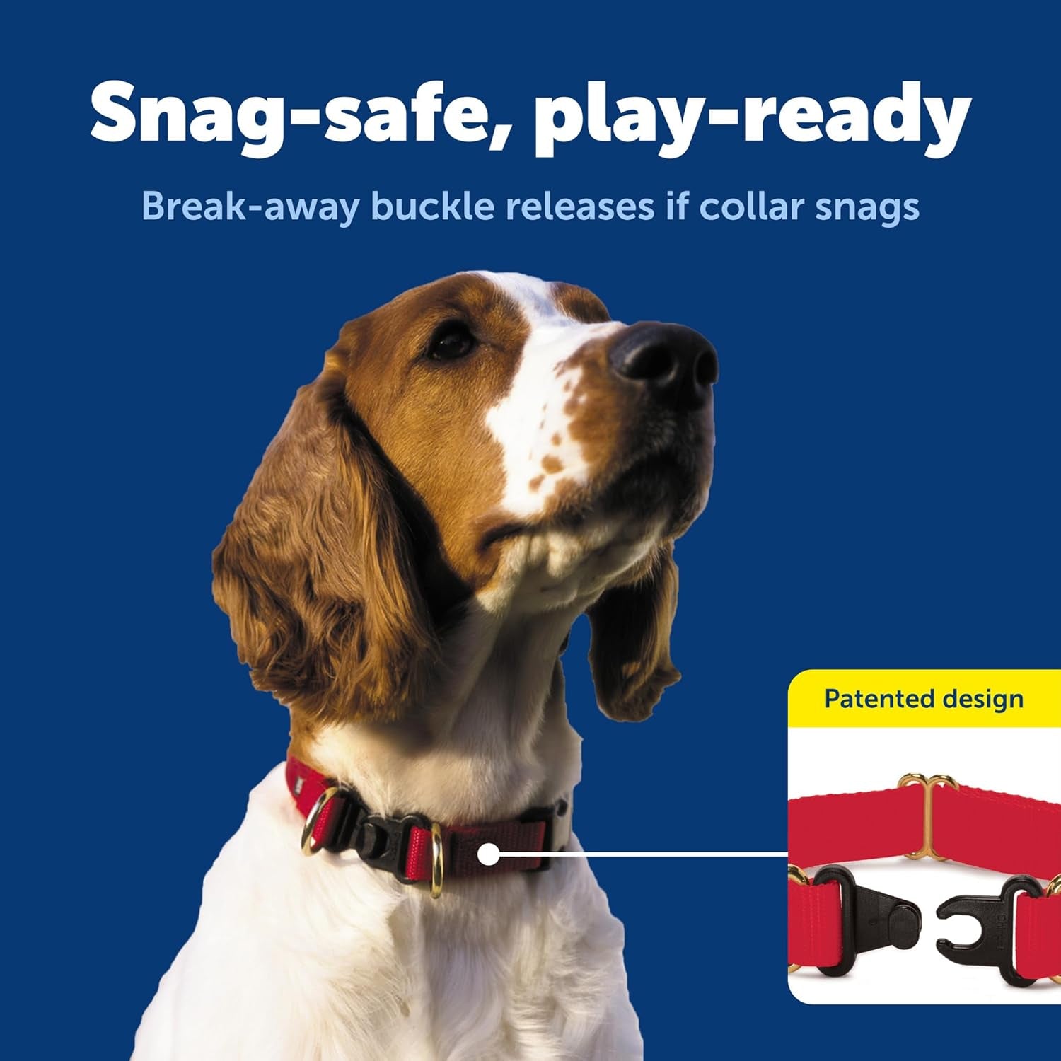 Keepsafe Collar for Dogs - Protects against Collar Accidents - Long Lasting - Durable - Adjustable - Breakaway - Outdoor-Safe - Large - 1 In. Wide - Black