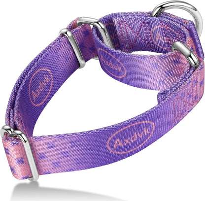 Martingale Dog Collar Colorful Gradient Fashionable - Anti-Escape Soft Durable Pets Collar for Walking Training Outdoor Daily Use -Medium,Turquoise Gradient