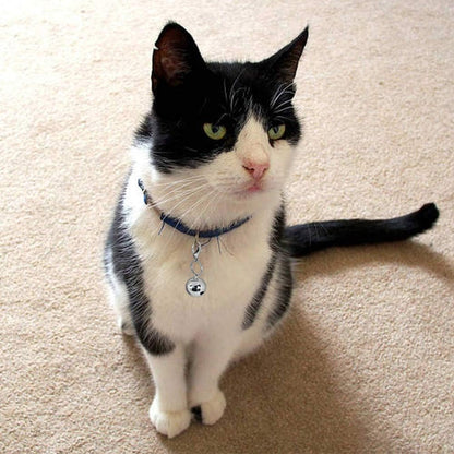 4 Sets Cat Bell for Dog Collar Charm Trainingpet Pendant Accessories with 2 Pack Stainless Steel Dog Tag Clips(2 Medium Silver)