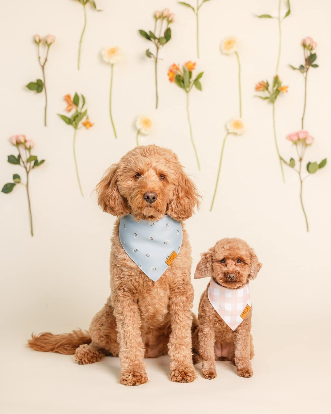 Small Spring Dog Bandanas - 4 Pack Emily Set | Premium Durable Adjustable Polyester Fabric Dog Scarfs | Patented Shape Girl Dog Bandana, Trendy Patterns, Floral Dog Bandana