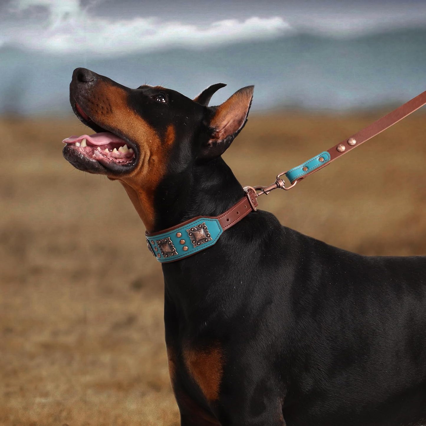 Soft Padded Leather Dog Collar, 2 Inch Wide Genuine Leather Dog Collars with Stylish Studded Rivet & Metal Buckle, Luxury & Adjustable Pet Collars for Medium Dogs,Green,Neck 16-19"