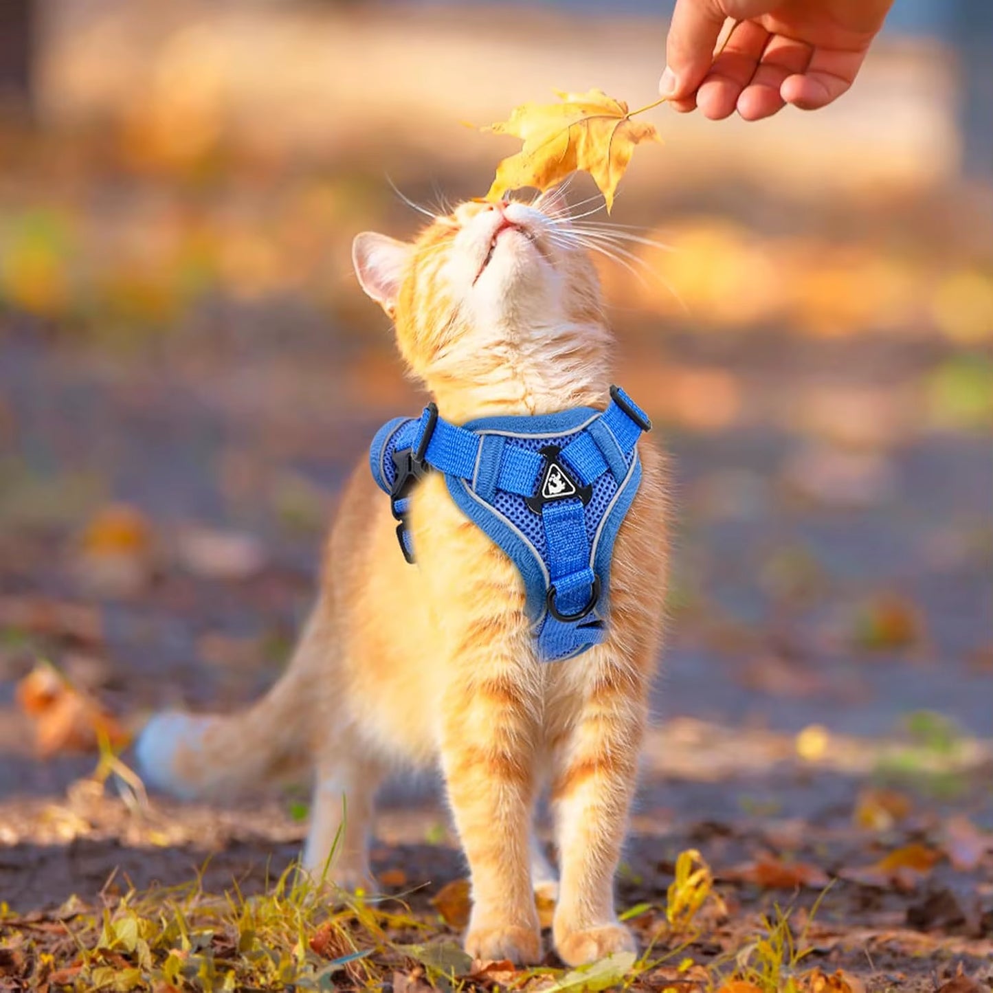 Cat Harness and Leash Set Escape Proof, Breathable Reflective Adjustable Kitten Chest Strap Pet Supplies for Outdoor Walking