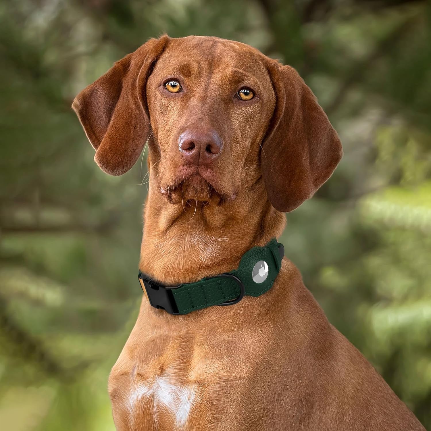 Airtag Dog Collar with Metal Buckle - Printed Nylon Soft Leather Dog Collar with Apple Airtag Holder - Secure Tracking GPS Pet Collars for Girl Boy Small Large Dogs (L, 17"-21" Neck Fit, Striped)